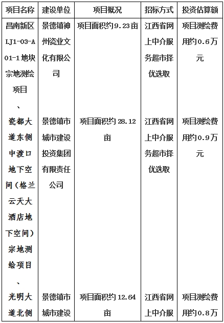 景德鎮(zhèn)市昌南新區(qū)LJ1-03-A01-1地塊、瓷都大道東側(cè)中渡口地下空間（格蘭云天大酒店地下空間）、光明大道北側(cè)利民路西側(cè)地下空間（青少年宮地下空間）、規(guī)劃二路北側(cè)地下空間地塊二（加速基地地下空間）、規(guī)劃二路北側(cè)地下空間地塊一（加速基地地下空間）、景德大道南側(cè)天寶橋西側(cè)地塊、景興大道東側(cè)如意路北側(cè)地下空間(社會公共服務(wù)